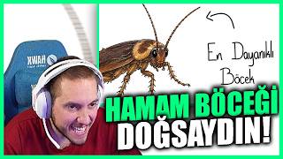 RRaenee - Eğer Bir Hamam Böceği Olarak Doğsaydın? Tepki @JudezDonca screenshot 2