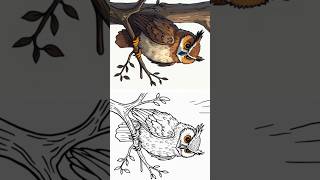 Free Printable Coloring Books 📖 | Download & Enjoy! #cartoon #animation #coloringbooks Free Printable Coloring Books 📖 | Download & Enjoy! #cartoon #animation #coloringbooks