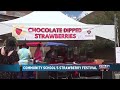 46th Annual Strawberry Festival Kicks Off in Roanoke