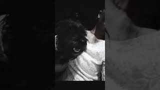 dominajoy 1603715839 musicallydown com