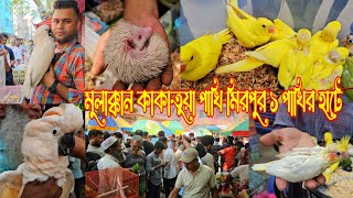 মুলাক্কান কাকাতুয়া পাখি মিরপুর ১ পাখির হাটে | mirpur 1 pakhir hat