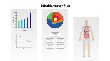 Vector Files - What are vectors, and how should they be saved?