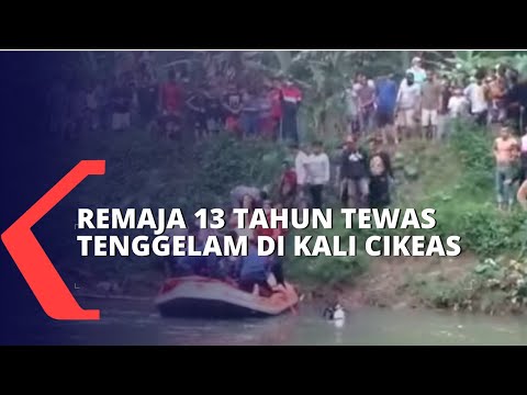 Video: Mayat Seorang Gadis Berusia 4 Tahun Dengan Keperluan Khas Yang Hilang Di Florida Ditemui Di Sebuah Kolam