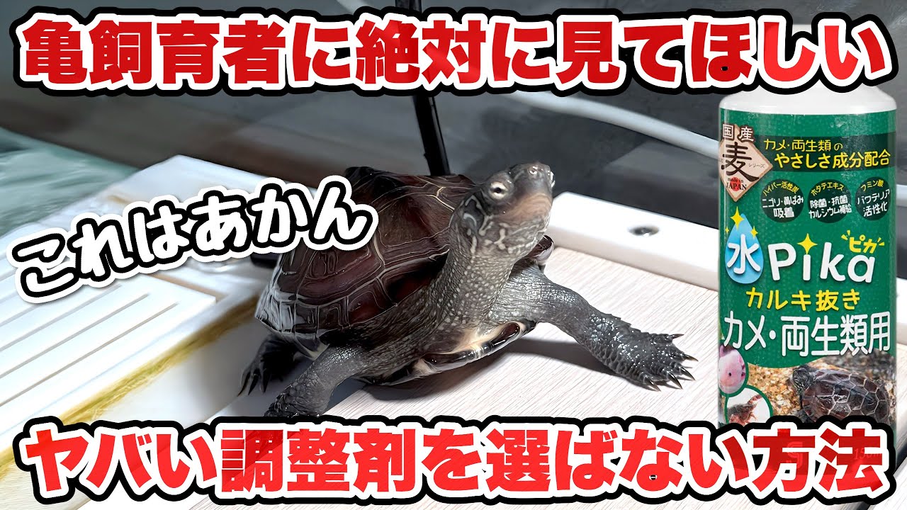 Must-see for turtle breeders] How to choose the right regulator
