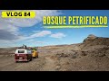 En búsqueda de los ÁRBOLES  DE PIEDRA 🚐🌴🇦🇷 BOSQUE PETRIFICADO de Sarmiento ARGENTINA  [VLOG84]