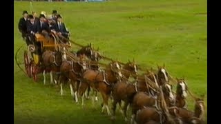 World Record horse driving Ysbrand Chardon & Jan Kuipers