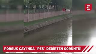 Porsuk Çayında Pes Dedirten Görüntü