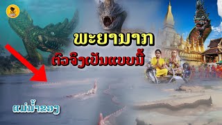 ພະຍານາກຕົວຈິງເປັນແບບນີ້[EP39]#พญานาคจริงๆ#เรื่องพญานาค#ເລື່ອງພະຍານາກ#ເມືອງລາວ#พญานาค แม่น้ำโขง