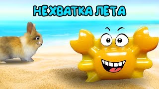 Кролик БАФФИ и НЕХВАТКА ЛЕТА ! Приключение на МОРЕ ! ЖЕЛЕЙНЫЙ КРАБС Уехал НА МОРЕ без Баффи