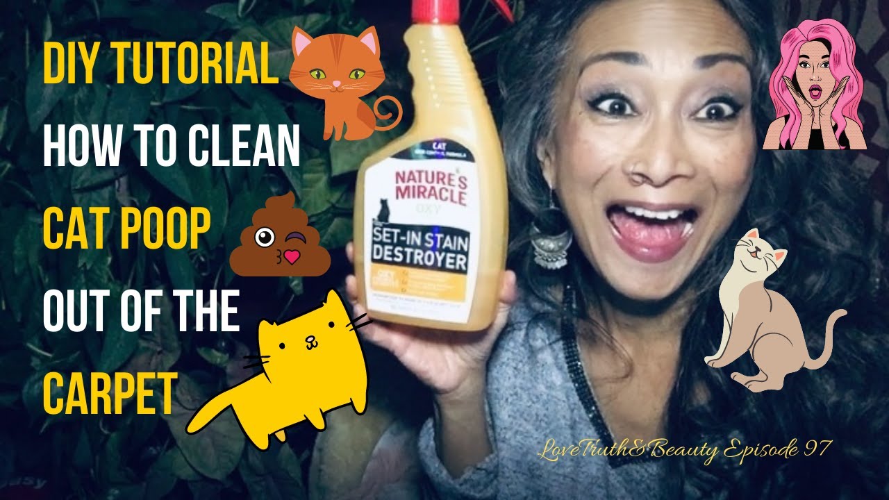 DIY Tutorial HowTo Clean Cat Poop Out of the Carpet Episode 97 YouTube
