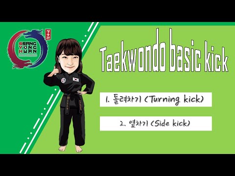 Taekwondo Basic kick (Turning kick,side kick)