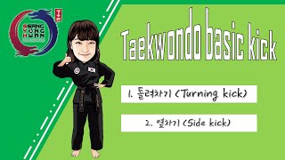 Taekwondo Basic kick (Turning kick,side kick)