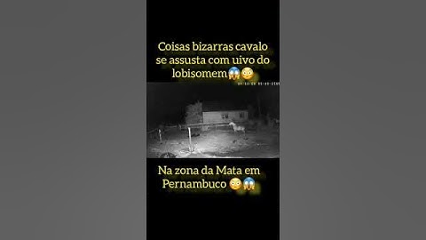 cavalos se assusta com uivo do lobisomem 😱 😳 #shorts #lobisomem