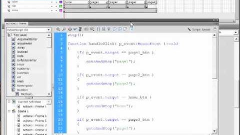 01 01  Why Learn ActionScript