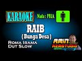 RAIB || Roma Irama || KARAOKE Nada PRIA