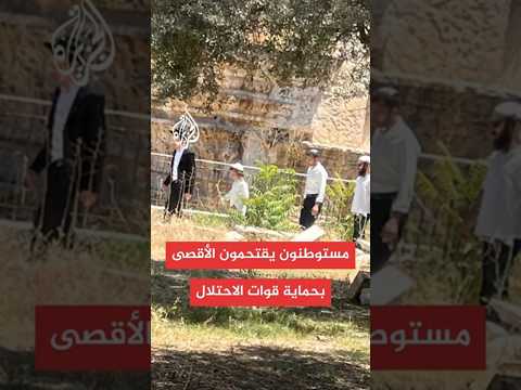 عشرات المستوطنين يقتحمون باحات الأقصى بحماية من شرطة الاحتلال
