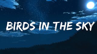 NewEra - Birds In The Sky (Lyrics)