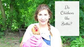 GIVING CHICKENS A BATH | HOW TO BATHE A CHICKEN