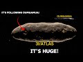 An Interstellar Object Like Oumuamua Just Enters Our Solar System Scientists Can T Believe Its Size An Interstellar Object Like Oumuamua Just Enters Our Solar System Scientists Can T Believe Its Size