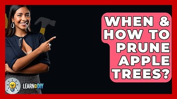 When & How To Prune Apple Trees? - LearnToDIY360.com