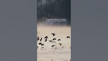 #shorts #short #shortvideos #positivethinking #optimism #viralvideo #motivation