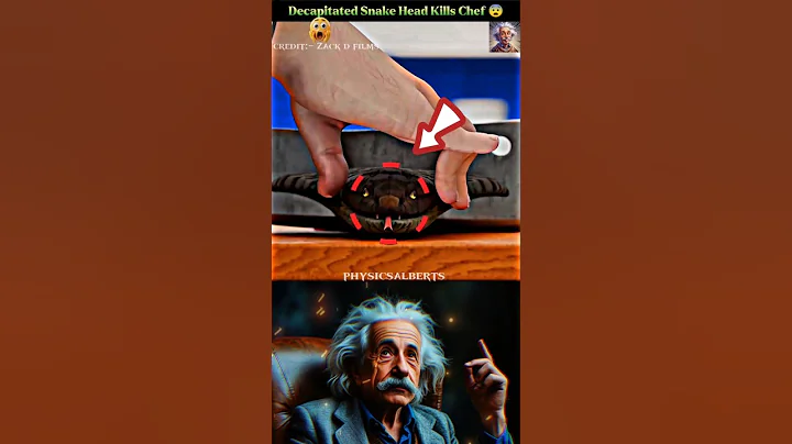 SIGMA PHYSICS TEACHER 🗿 #shorts #sigmaphysics #physics