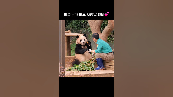 이건 누가 봐도 사랑일 텐데💕 #푸바오 #Fubao #panda