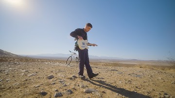 dovvydotcom - central 