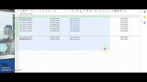 How to delete the green horizontal line in google sheet? ALT A+D then F