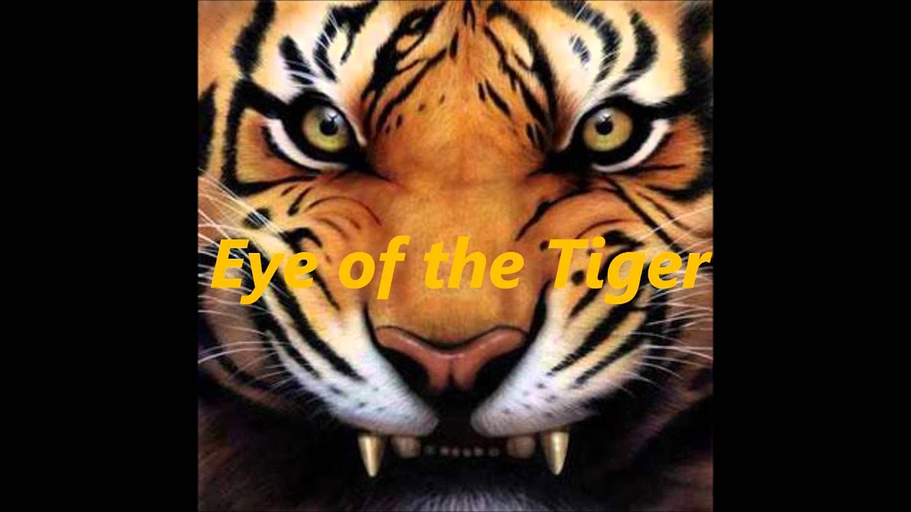 Eye of the Tiger (album) - Wikipedia