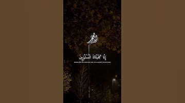 أكتب شئ تؤجر عليه ❤️ ||  قرآن كريم من سورة الحجر#قرآن_كريم #قران_كريم #قران