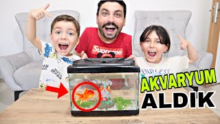 We Set Up A Giant Aquarium At Home Yüsraya Was Very Happy