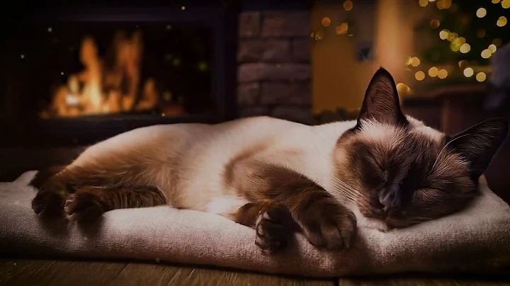 Watch the video about Purring Siamese Cat Sounds 😽 Cozy Autumn Fireplace and Cat Sleep Noises for Cats, Anxiety & Insomnia