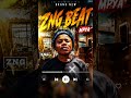 DVJ MEDDIX OG Penzi La Mwisho Singeli Beat Mpya 2026 Tanzania Type Beat 