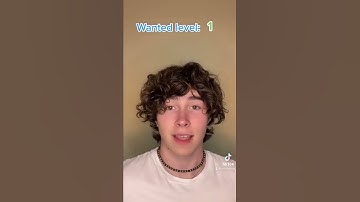 POV everyone has a wanted level 1-5, 5 being the most aggressive… maxwellrak