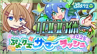 ギルイベ走る！！平番キリ番全部やりたい  〖#ぷよクエ サマーラッシュ2025〗