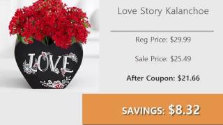 I'm in ProFlowers Coupon 15% Off