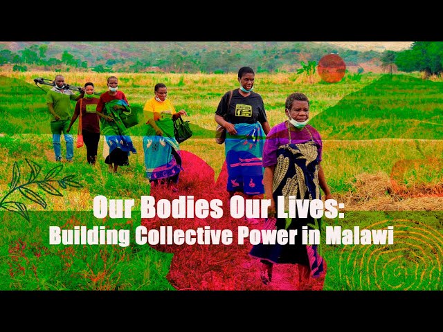 Ep 3 - Our Bodies Our Lives: Building Collective Power in Malawi