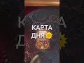 15 мая 2026 г.