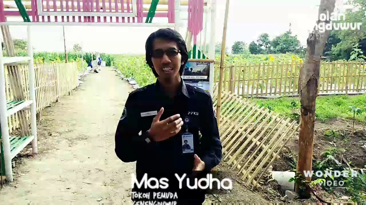 Ladang Bunga Matahari Gemolong