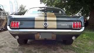 Shelby Mustang GT350 V8 Sound