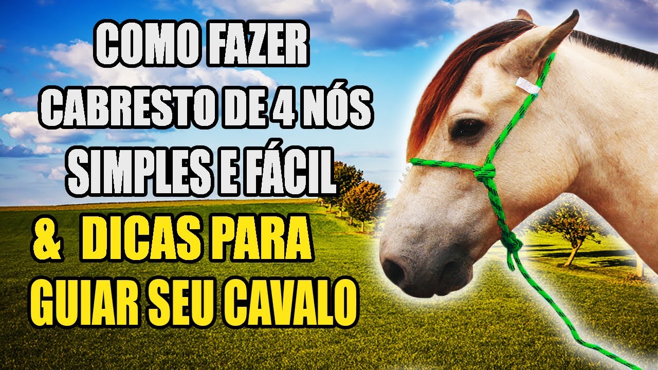 COMO FAZER CABRESTO DE 4 NÓS & DICAS PARA GUIAR CAVALO - tutorial