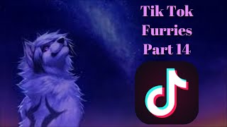 Tik Tok Furries Part 14