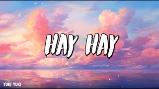 Hadise - Hay Hay - (Şarkı sözü / Lyrics) Resimi