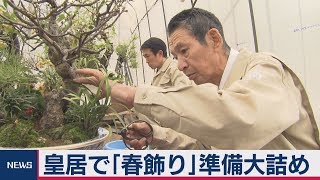 皇居で「春飾り」の準備が大詰め