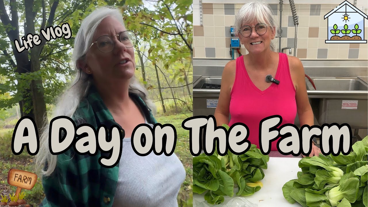 День на ферме 🌾 Жизнь, история и урожай на ферме Брэдвуд
