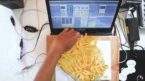 Jackfruit Play Modular Synthesizer in VCV Rack with Biodata Sonification Device