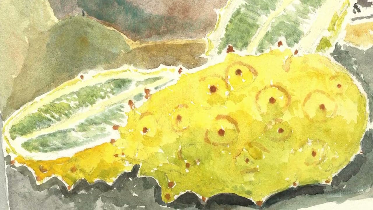 Jeffery Camp - A Visionary - Exhibition Video (2023) - YouTube