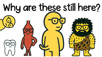 Lichaamsdelen die je nog steeds hebt zonder reden