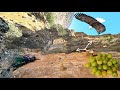 🍑🏔️ Wild Yellow Plum Harvest in the Zagros | Mysterious Caves &amp; Ismat&rsquo;s Sudden Illness 💛